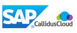 SAP callidus application